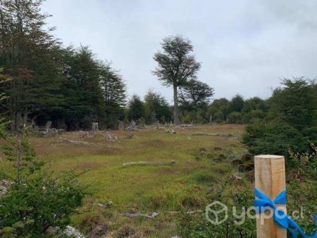 Loteo parcelación villa renoval última esperanza