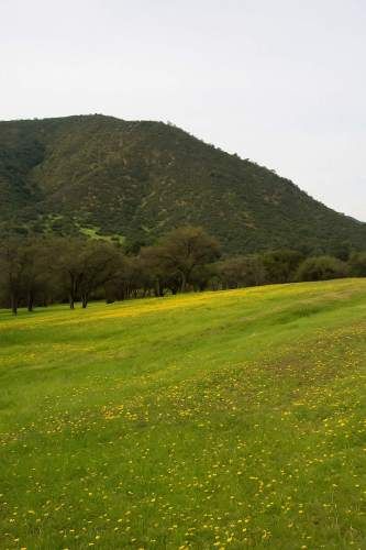 Parcela en Curacaví 2 hectáreas con rol propio y excelente acceso