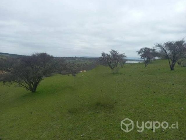 Parcela de agrado Marchigue