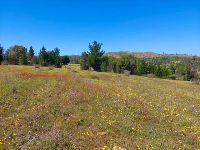 Parcelas en cauquenes a minutos del centro