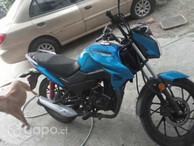 Honda twister 125cc