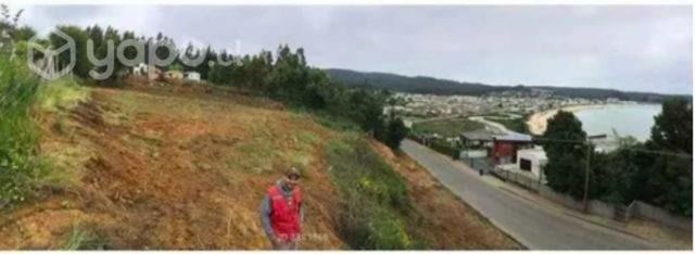 Daniel Vera, Dichato Subida A Pingueral