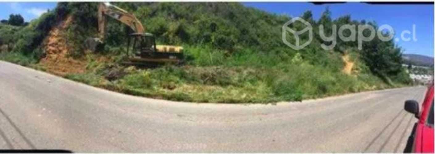 Daniel Vera, Dichato Subida A Pingueral