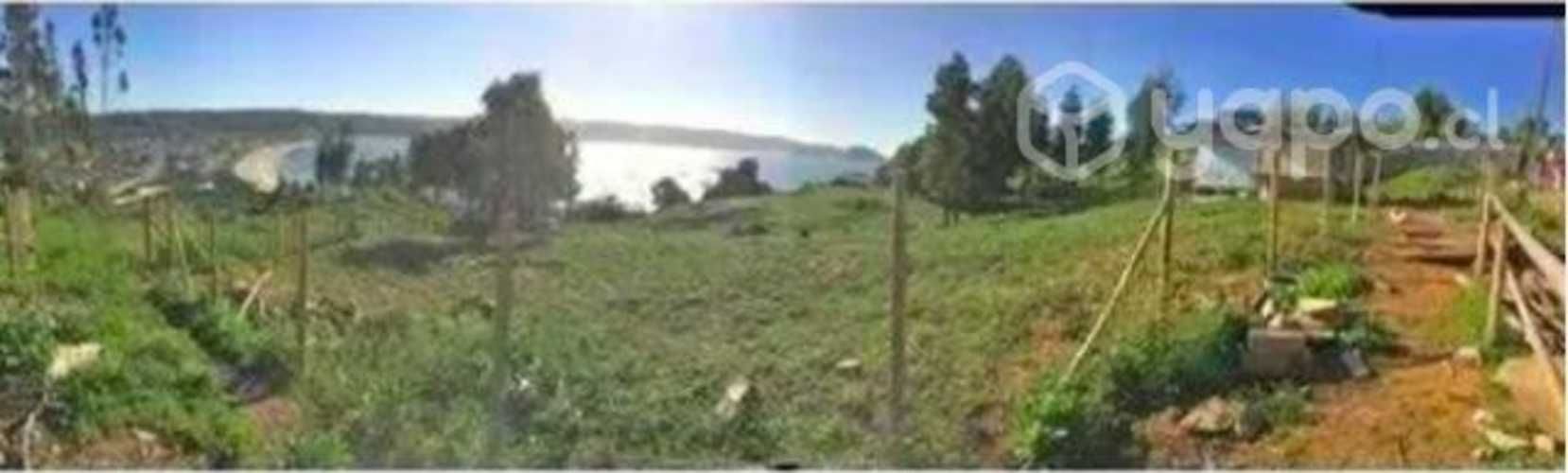 Daniel Vera, Dichato Subida A Pingueral