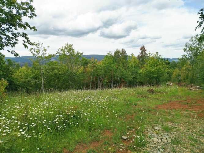 Parcelas 1 a 1,45 ha a 14,5 km de La Unión, desde 19 mill