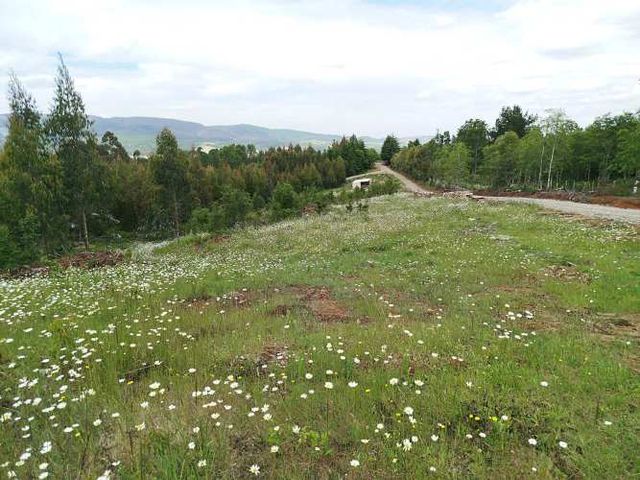 Parcelas 1 a 1,37 ha a 14,5 km de La Unión, $20 Mill a $25 Mill