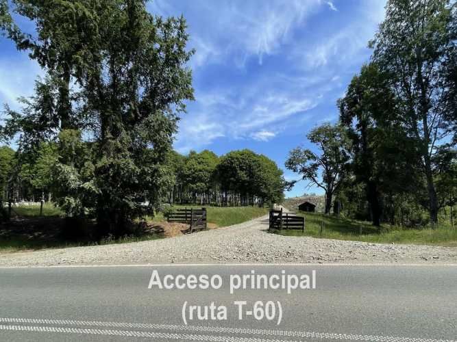 Parcelas 1 a 1,45 ha a 14,5 km de La Unión, desde 19 mill