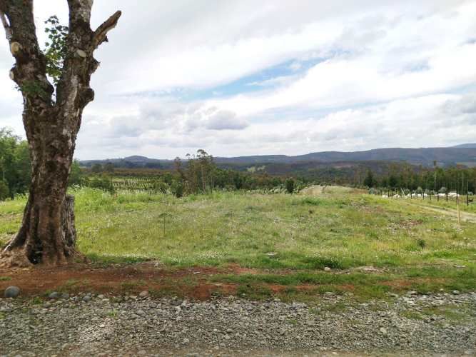 Parcelas 1 a 1,45 ha a 14,5 km de La Unión, desde 19 mill