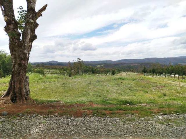 Parcelas 1 a 1,37 ha a 14,5 km de La Unión, $20 Mill a $25 Mill