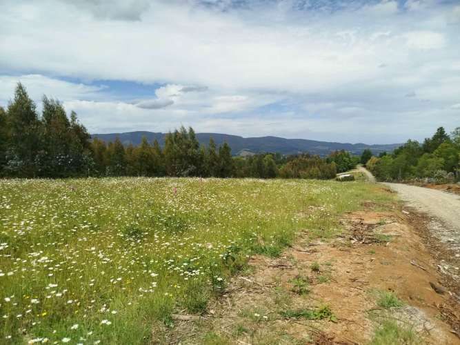 Parcelas 1 a 1,45 ha a 14,5 km de La Unión, desde 19 mill