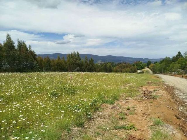 Parcelas 1 a 1,37 ha a 14,5 km de La Unión, $20 Mill a $25 Mill