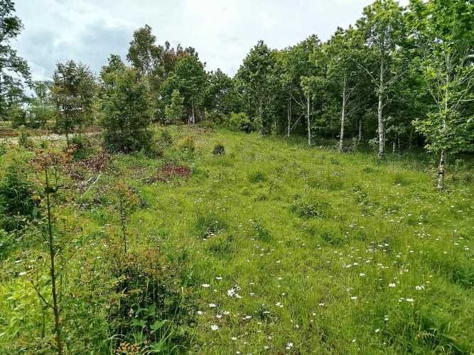 Parcelas 1 a 1,45 ha a 14,5 km de La Unión, desde 19 mill
