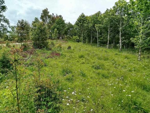 Parcelas 1 a 1,37 ha a 14,5 km de La Unión, $20 Mill a $25 Mill