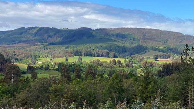 Parcelas 1 a 1,37 ha a 14,5 km de La Unión, $20 Mill a $25 Mill