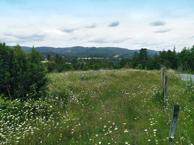 Parcelas 1 a 1,45 ha a 14,5 km de La Unión, desde 19 mill