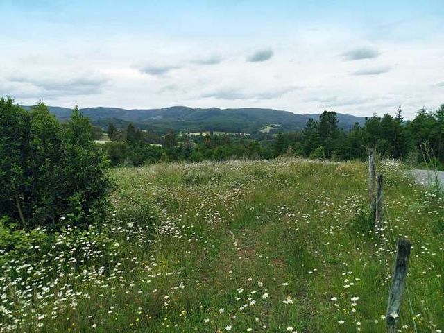 Parcelas 1 a 1,37 ha a 14,5 km de La Unión, $20 Mill a $25 Mill