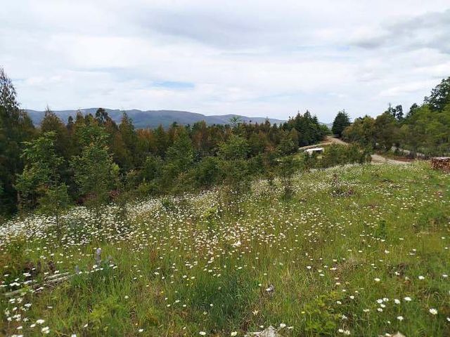 Parcelas 1 a 1,37 ha a 14,5 km de La Unión, $20 Mill a $25 Mill