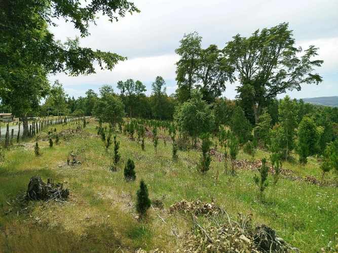 Parcelas 1 a 1,45 ha a 14,5 km de La Unión, desde 19 mill