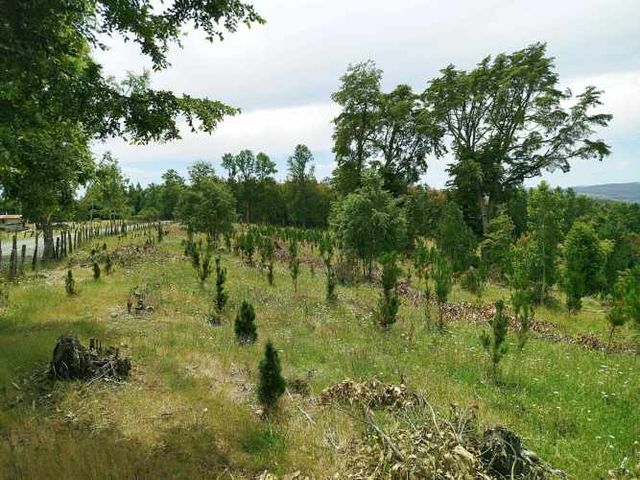 Parcelas 1 a 1,37 ha a 14,5 km de La Unión, $20 Mill a $25 Mill