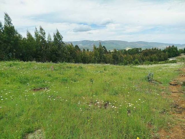 Parcelas 1 a 1,37 ha a 14,5 km de La Unión, $20 Mill a $25 Mill