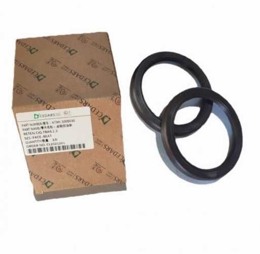 Retén Cigüeñal Trasero Chery S21 | ORIGINAL