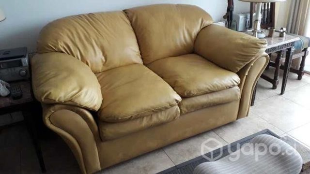 Elegante sofa 2 cuerpos,