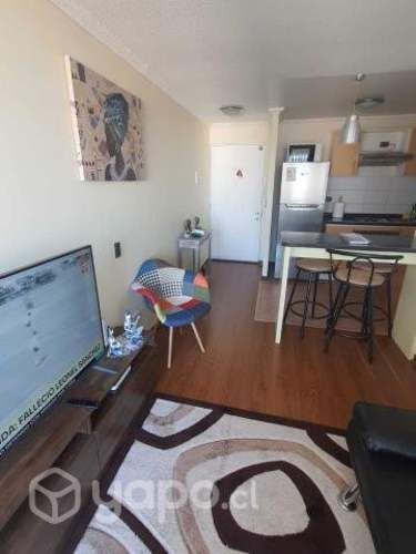 Verano 2026 Diario cerca de playa cavancha