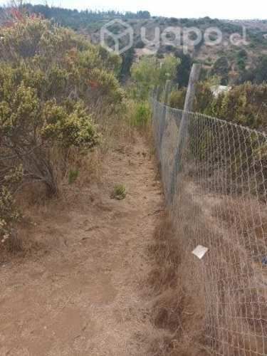 Parcela 5000 M2 el convento Santo Domingo