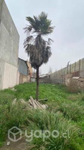 Se vende sitio urbanizado