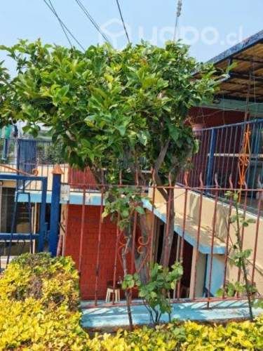 Vendo casa en canal beagle