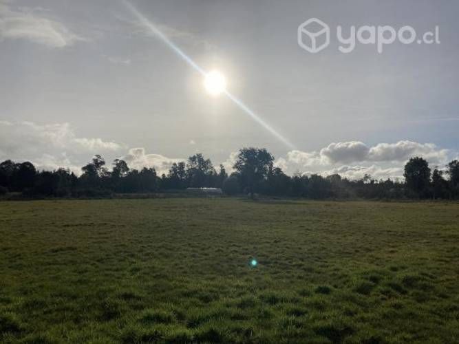 Se vende terreno con cabaña