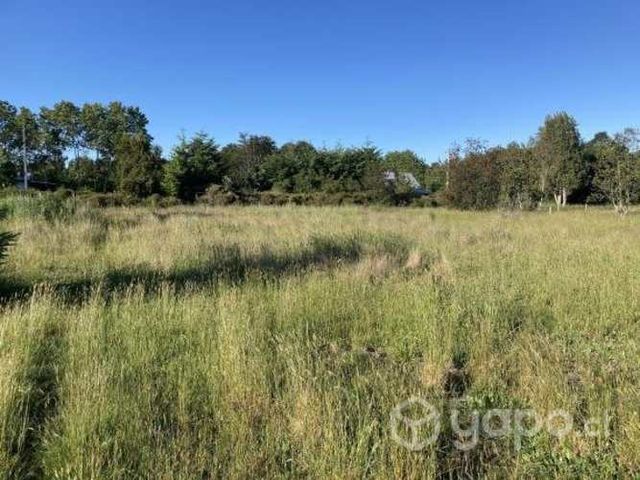 Se vende terreno 1 hectárea braunau