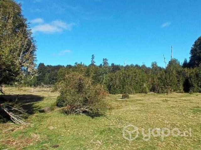 Se vende campo 19 hectáreas carretera austral