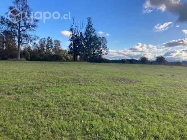 Vendo una hectárea camino a Futrono por ruta T 625