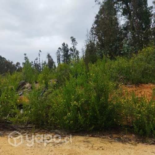 En camino La Pólvora entre las dos rotondas