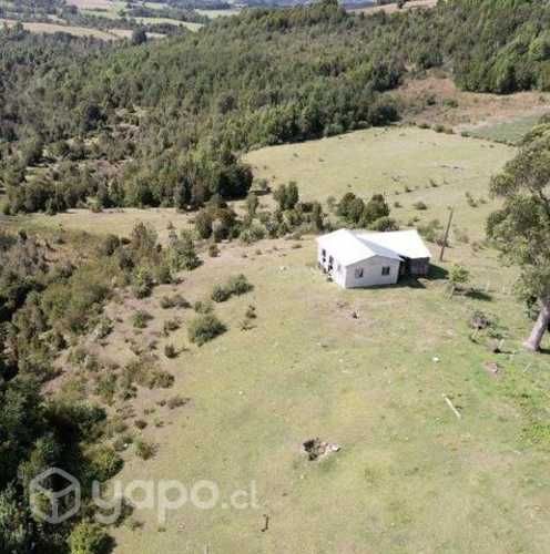 Proyecto Bosques de Estaquilla