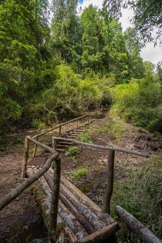 PROMOCION  FINDE...  PARCELAS A SOLO 7 MINUTOS DE PANGUIPULLI.-