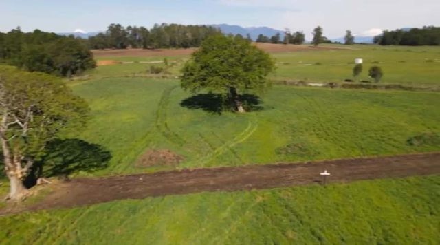 PROMOCION  FINDE...  PARCELAS A SOLO 7 MINUTOS DE PANGUIPULLI.-