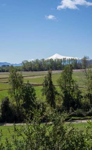 PROMOCION  FINDE...  PARCELAS A SOLO 7 MINUTOS DE PANGUIPULLI.-