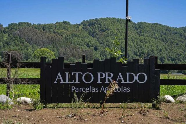 PROMOCION  FINDE...  PARCELAS A SOLO 7 MINUTOS DE PANGUIPULLI.-