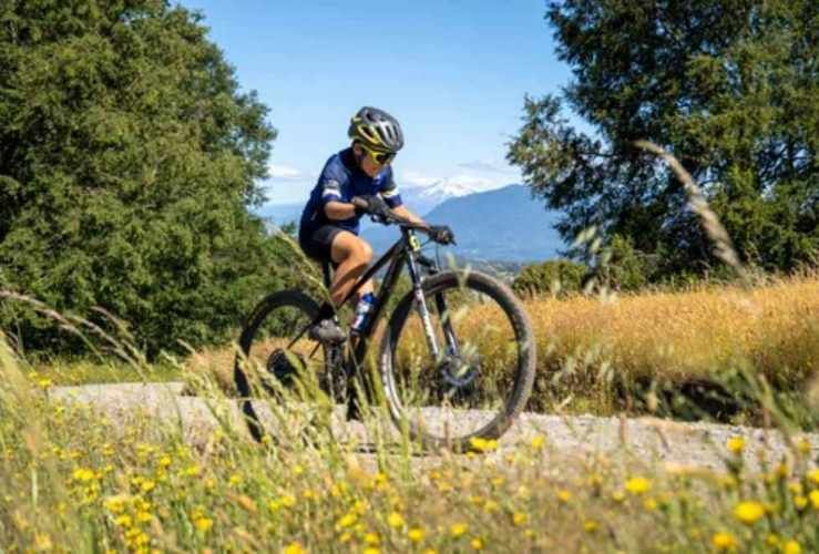 PROMOCION  FINDE...  PARCELAS A SOLO 7 MINUTOS DE PANGUIPULLI.-