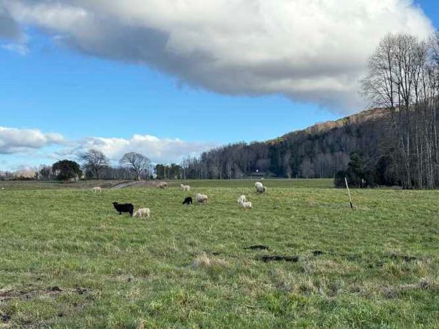 PROMOCION  FINDE...  PARCELAS A SOLO 7 MINUTOS DE PANGUIPULLI.-