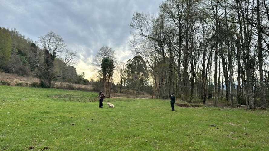 PROMOCION  FINDE...  PARCELAS A SOLO 7 MINUTOS DE PANGUIPULLI.-