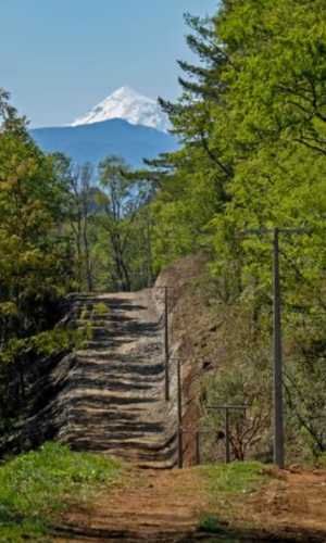 PROMOCION  FINDE...  PARCELAS A SOLO 7 MINUTOS DE PANGUIPULLI.-