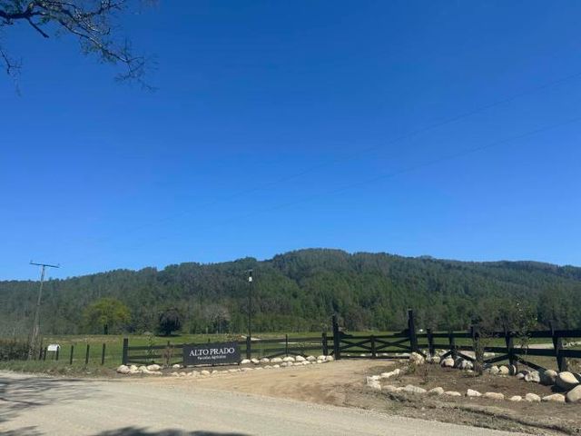 PROMOCION  FINDE...  PARCELAS A SOLO 7 MINUTOS DE PANGUIPULLI.-