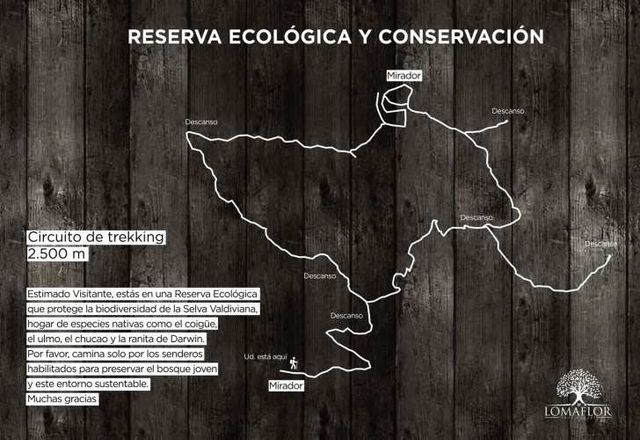 PROMOCION  FINDE...  PARCELAS A SOLO 7 MINUTOS DE PANGUIPULLI.-