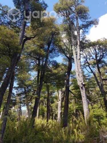 Parcelas de Agrado a 8km melipeuco 20% PIE