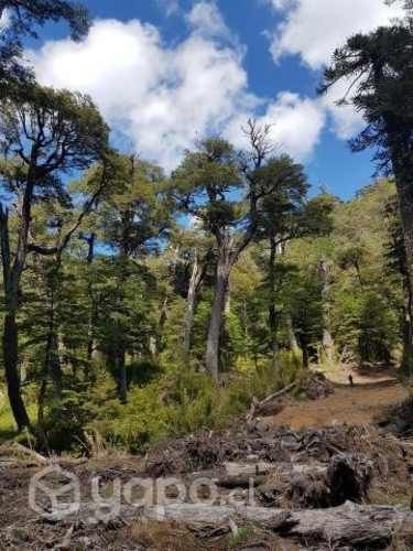 Parcelas de Agrado a 8km melipeuco 20% PIE