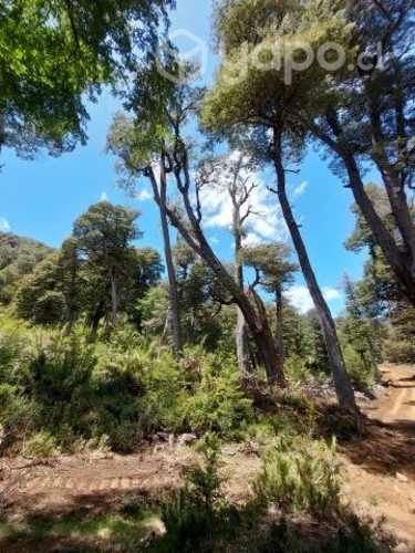 Parcelas de Agrado a 8km melipeuco 20% PIE