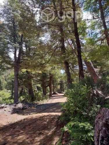 Parcelas de Agrado a 8km melipeuco 20% PIE